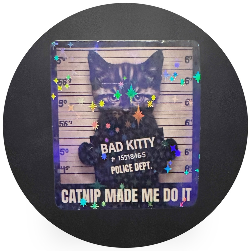 5 for $5 Catnip Made Me Do It Vinyl Holographic Sticker